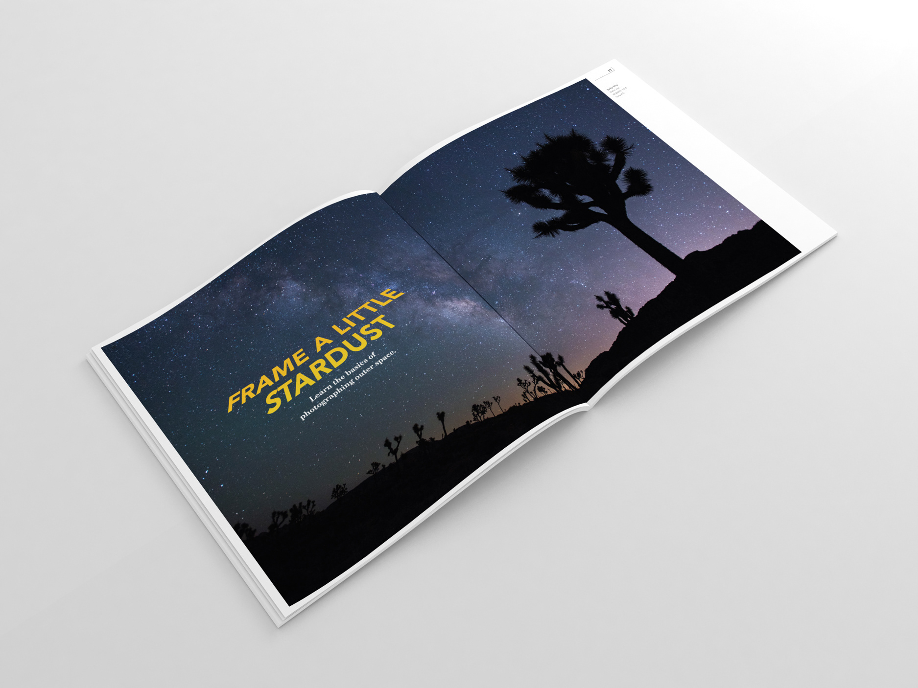 Digital Photographer cover concept featuring a starry night sky and tree silhouette