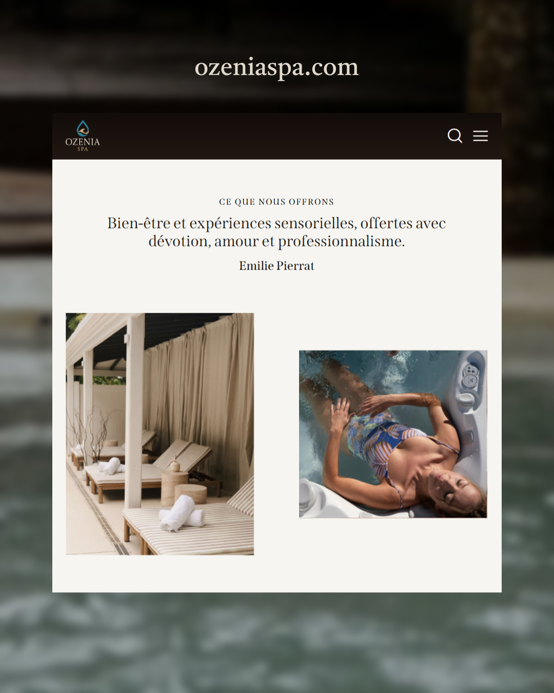 Ozenia Spa website design